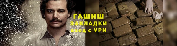 шишки Абаза