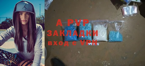 шишки Абаза