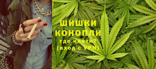 шишки Абаза
