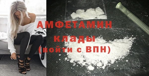 шишки Абаза