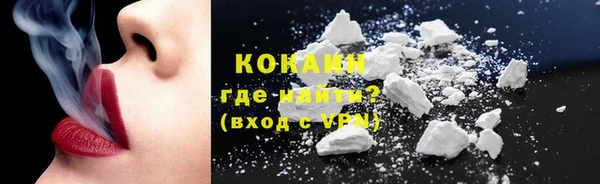 шишки Абаза