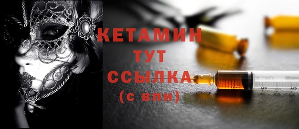 шишки Абаза