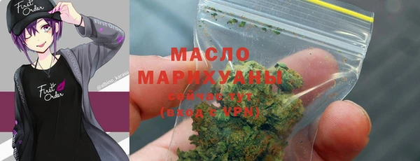 шишки Абаза