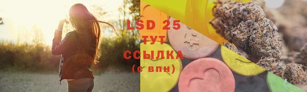 шишки Абаза