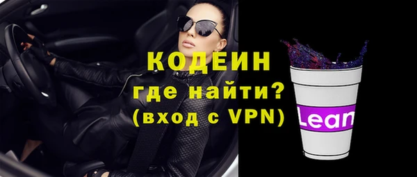 шишки Абаза