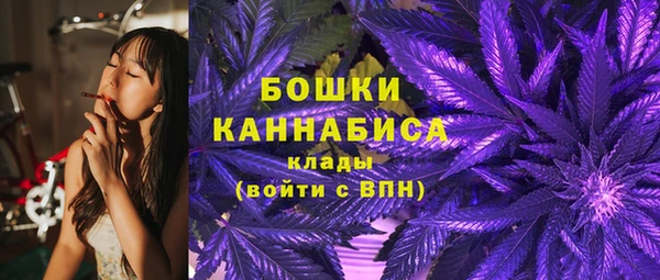 шишки Абаза