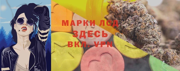 шишки Абаза