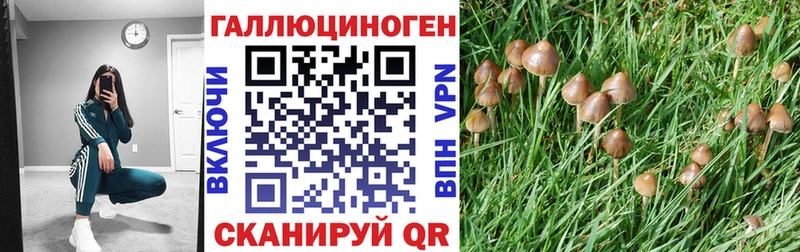 Псилоцибиновые грибы Cubensis  хочу   Белая Калитва 